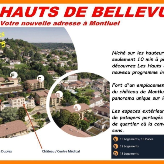  Pays de l'ain immobilier : Appartement | MONTLUEL (01120) | 69 m2 | 338 000 € 