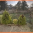  Pays de l'ain immobilier : Maison / Villa | BEYNOST (01700) | 141 m2 | 640 000 € 