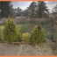  Pays de l'ain immobilier : House | BEYNOST (01700) | 140 m2 | 735 000 € 