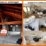  Pays de l'ain immobilier : Apartment | BEYNOST (01700) | 38 m2 | 113 000 € 