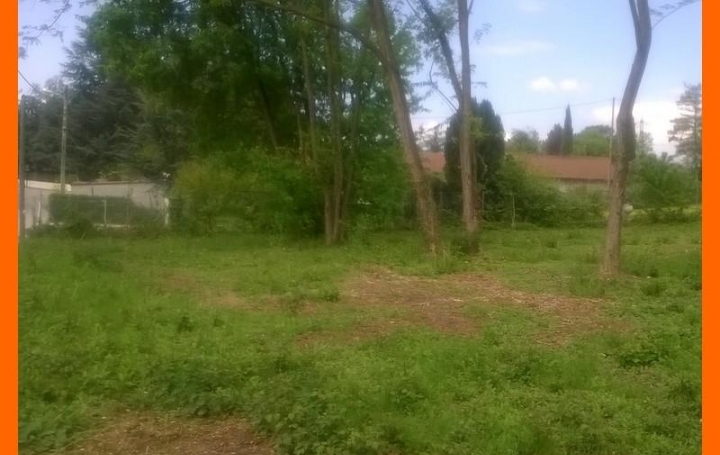 Pays de l'ain immobilier : Terrain | SAINT-MAURICE-DE-GOURDANS (01800) | 0 m2 | 160 000 € 